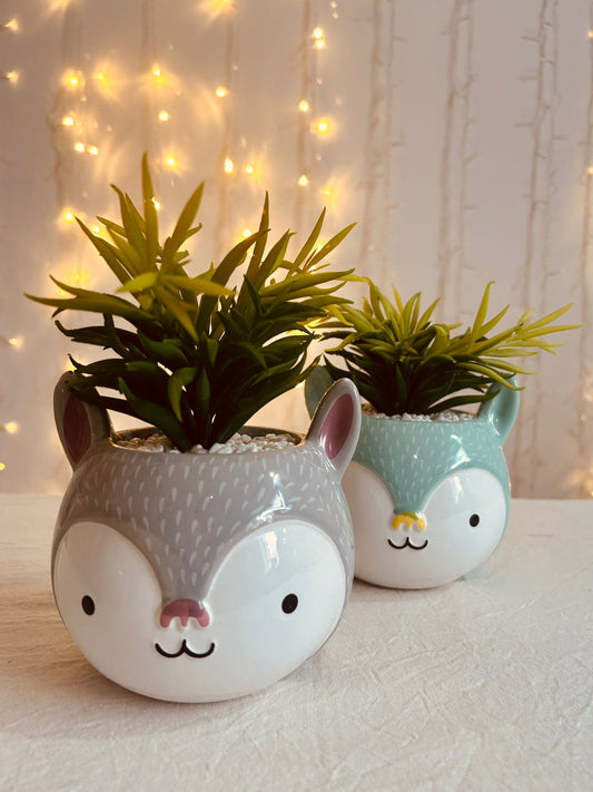 Animalito con planta