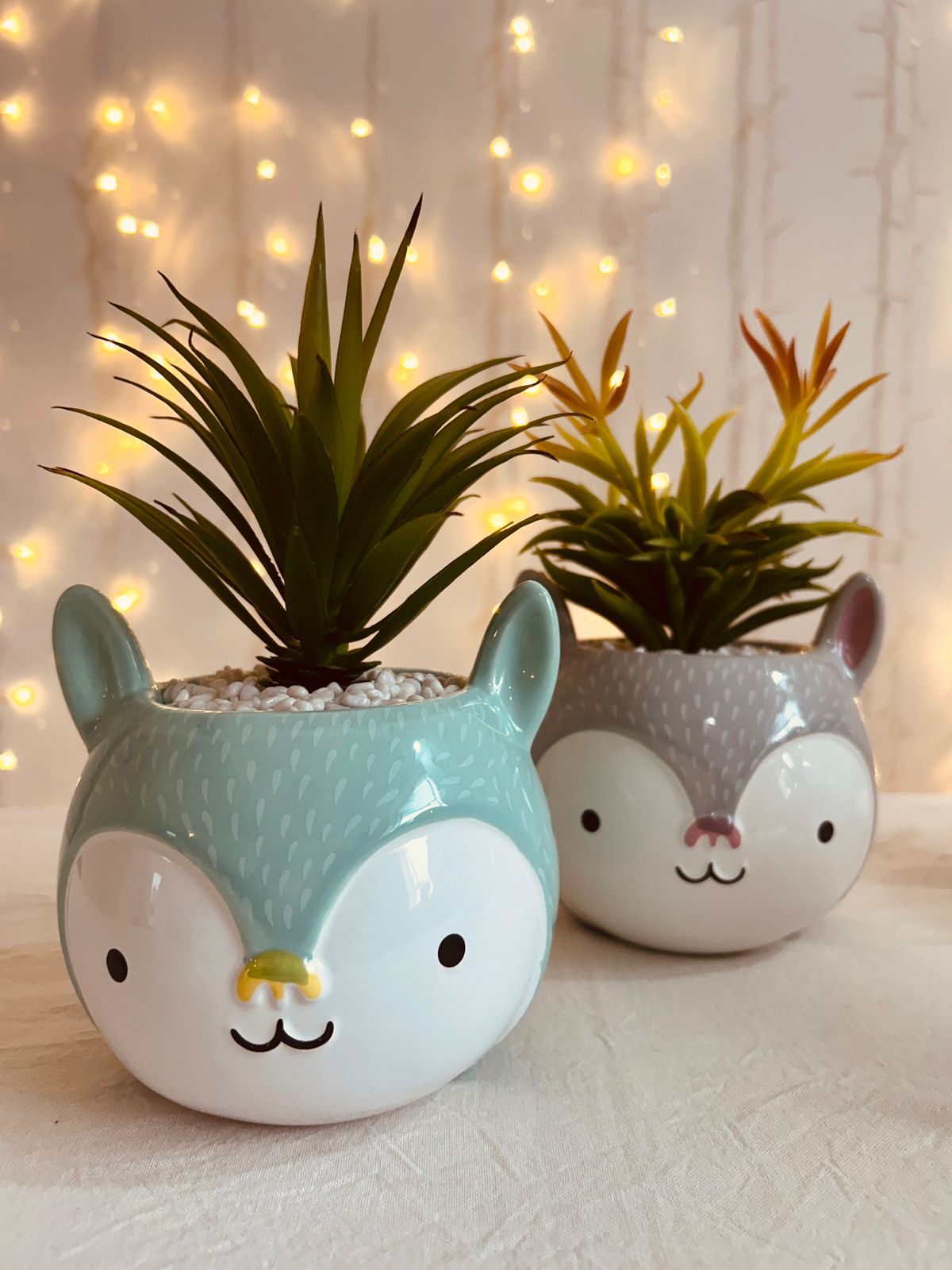 Animalito con planta