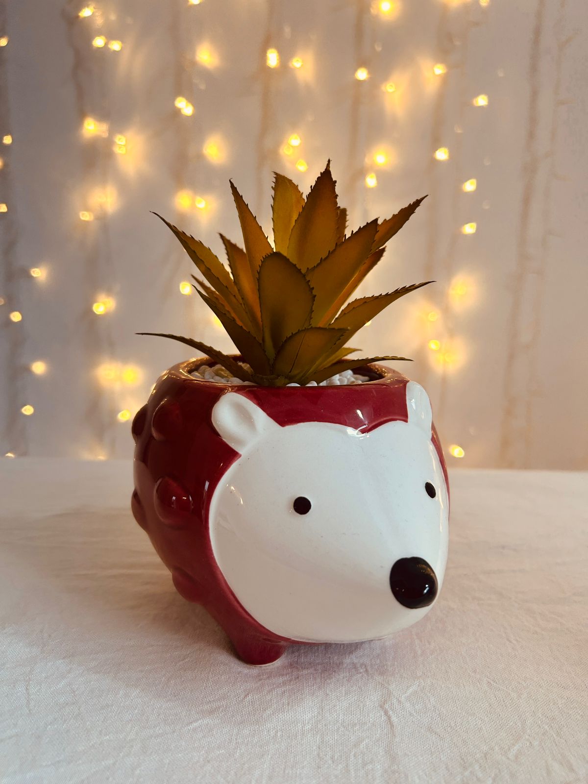 Animalito con planta