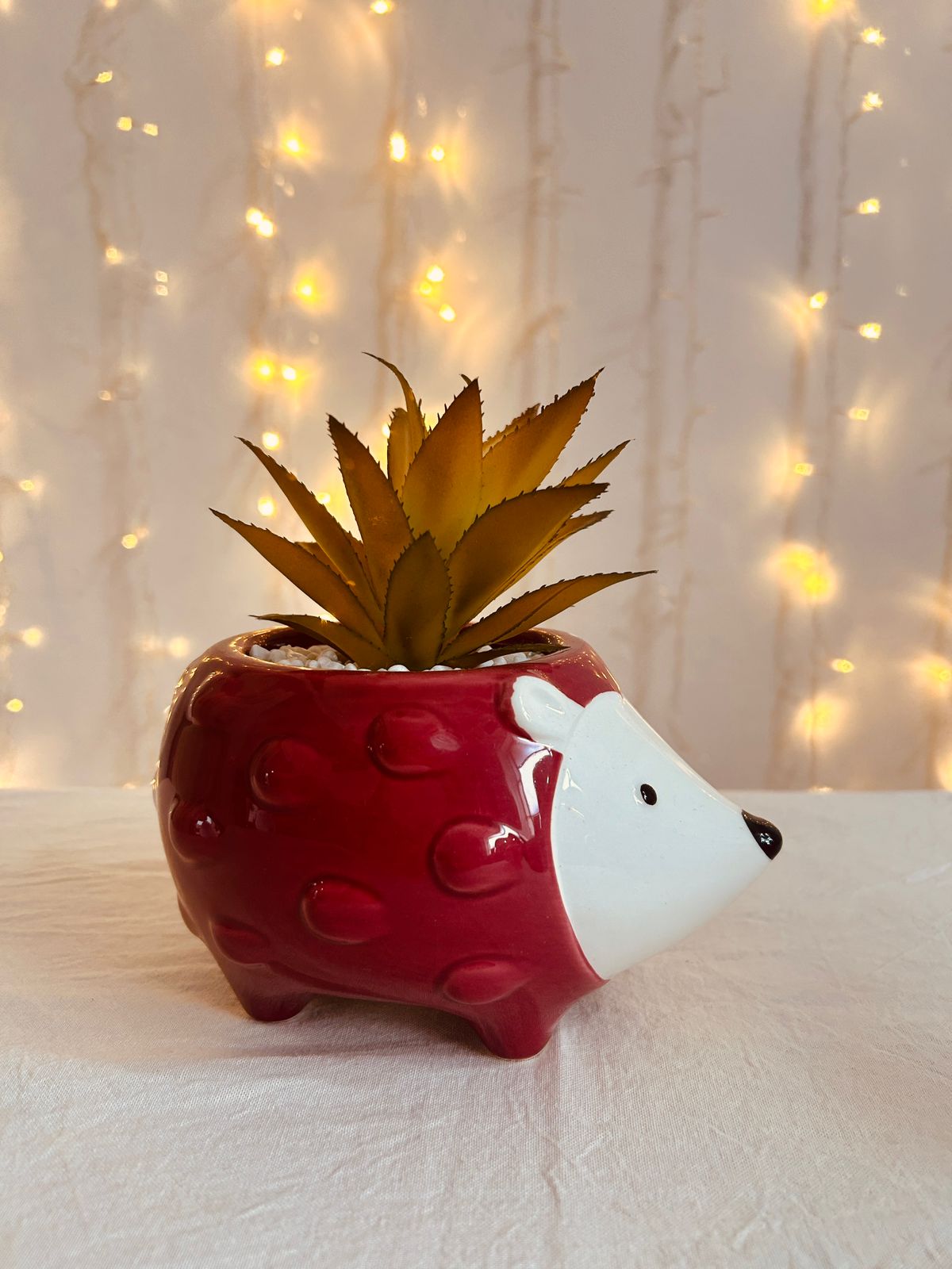 Animalito con planta