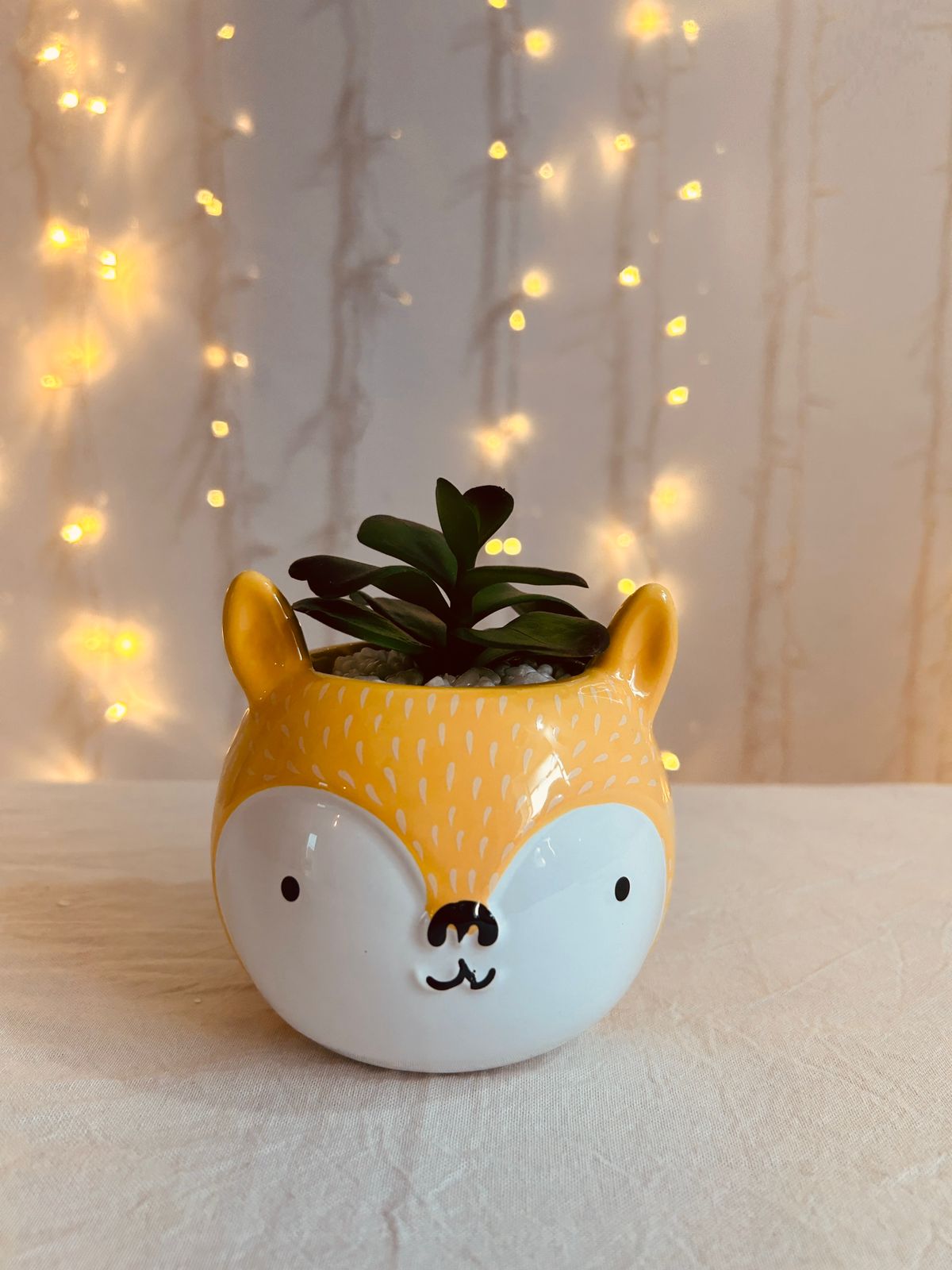 Animalito con planta