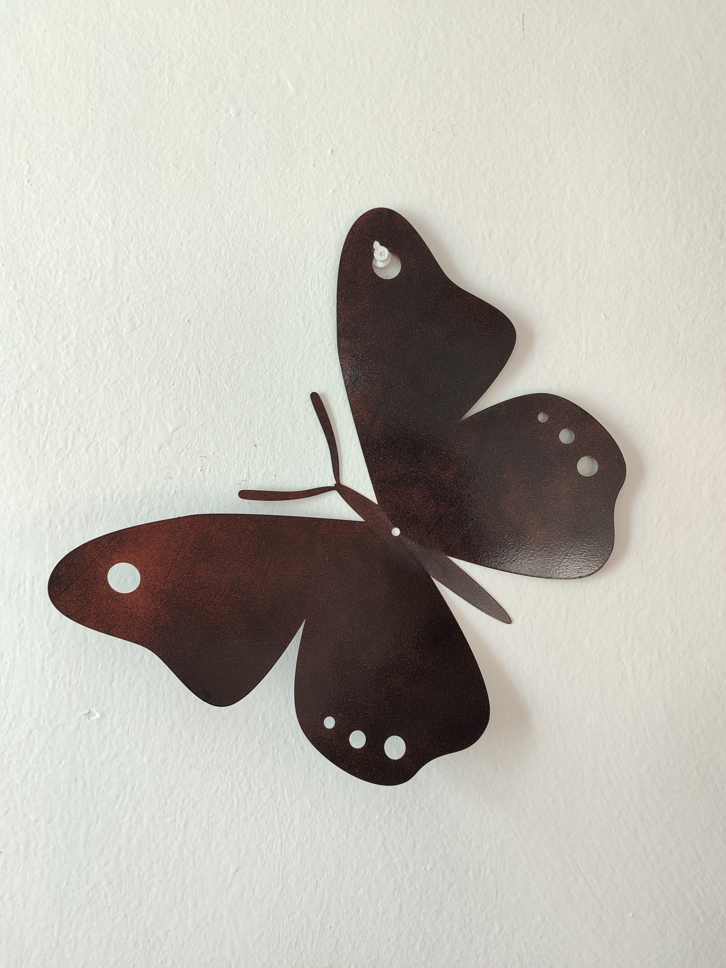 Mariposa Mediana