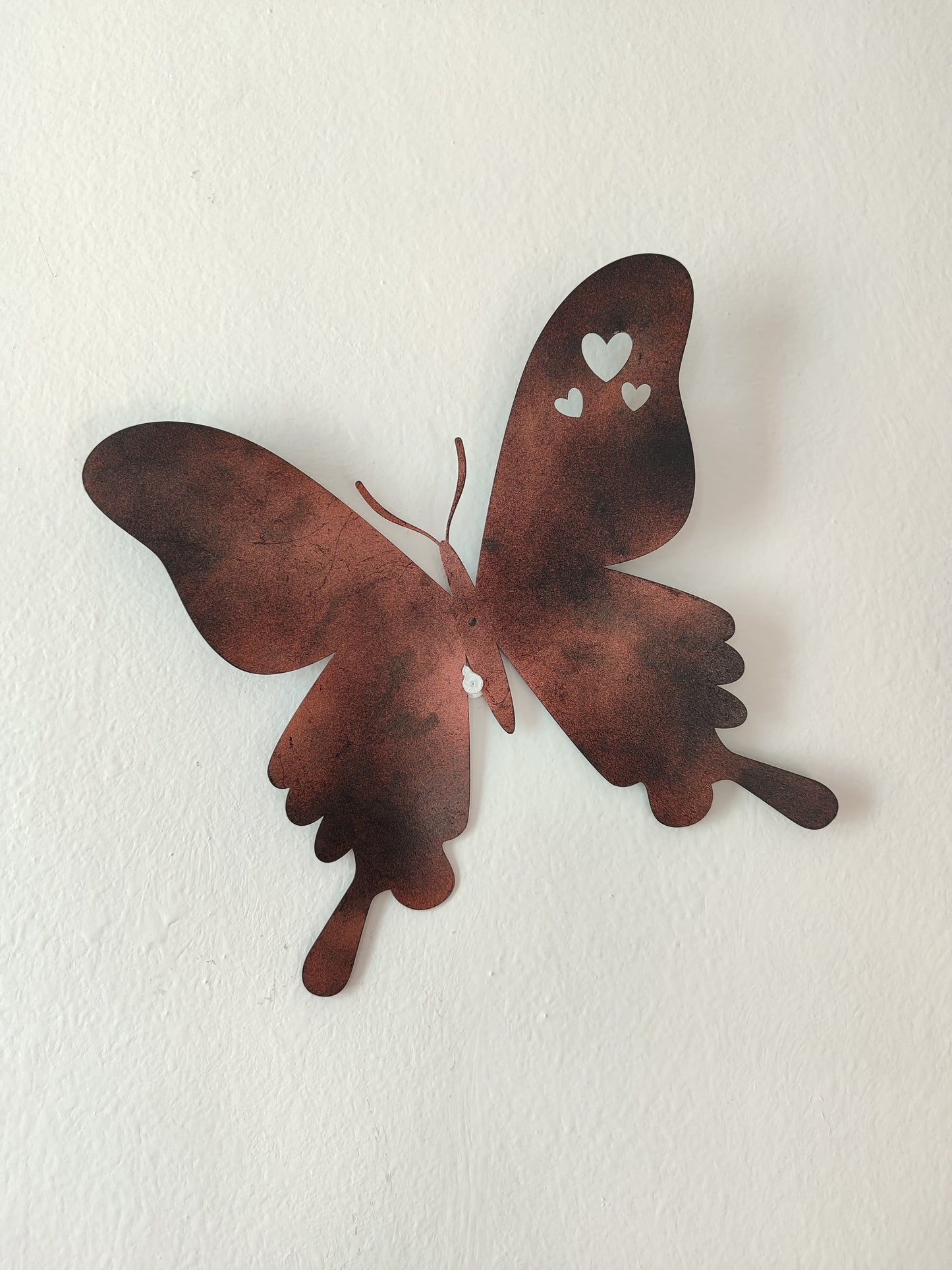 Mariposa Mediana
