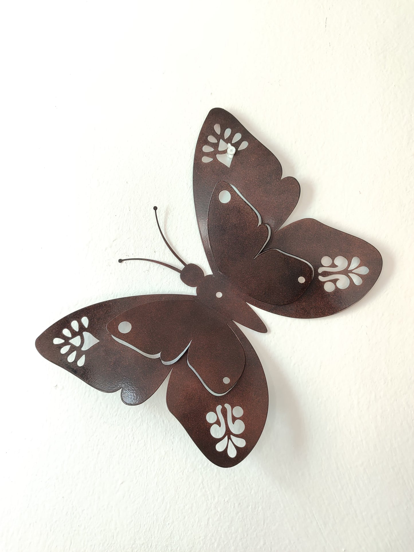 Mariposa Mediana