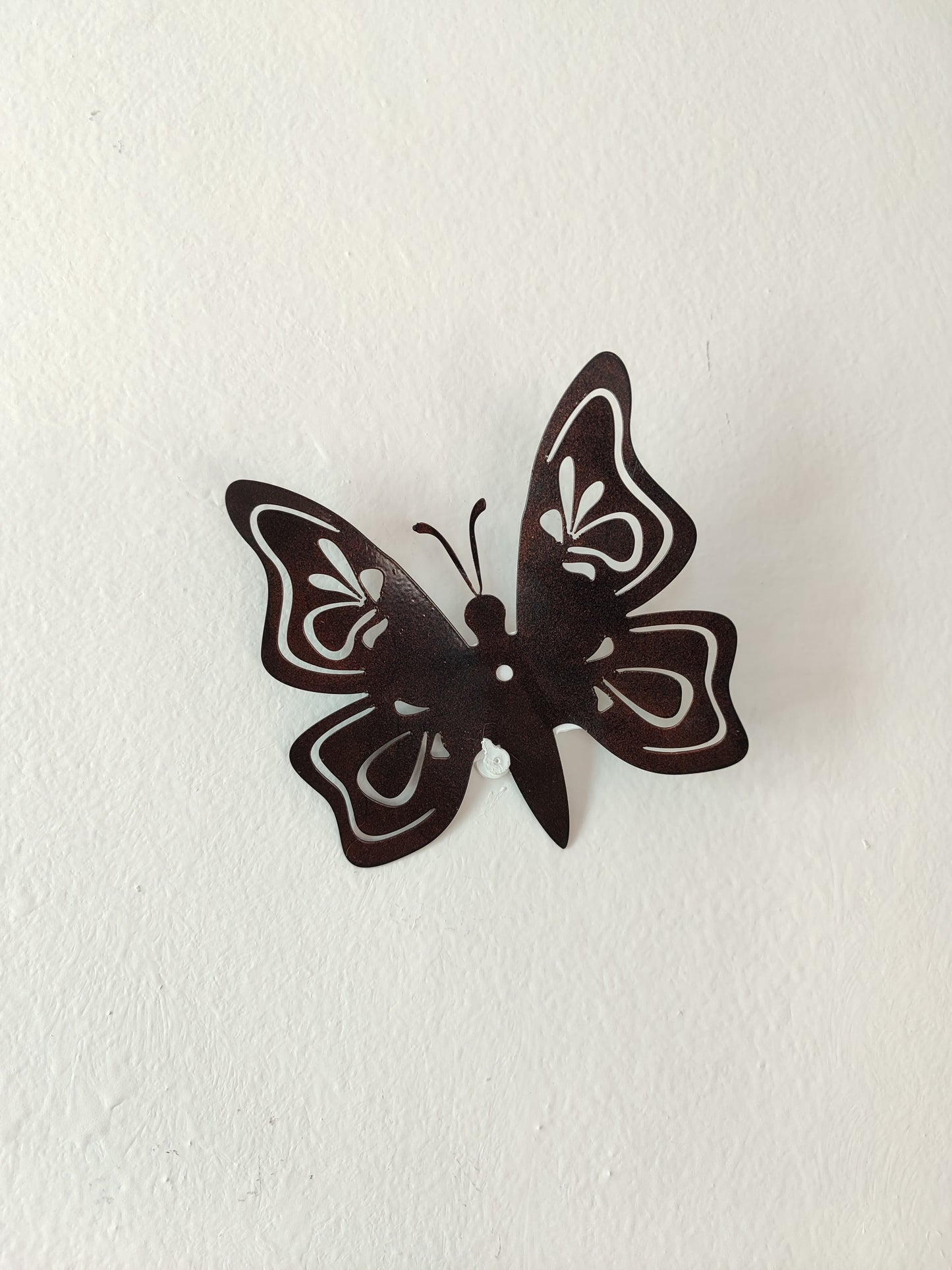 Conjunto Mariposas (Individuales)