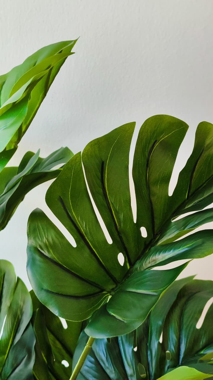 Monstera grande artificial