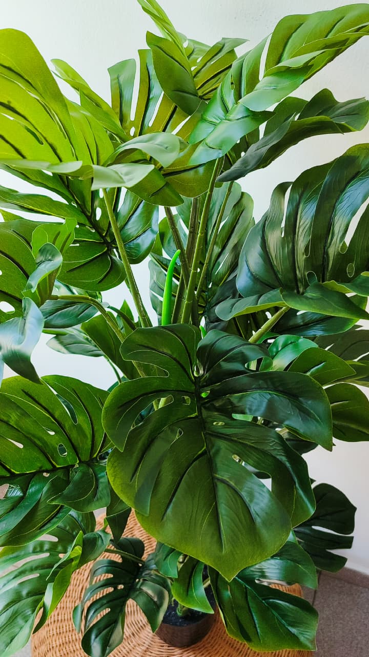 Monstera grande artificial