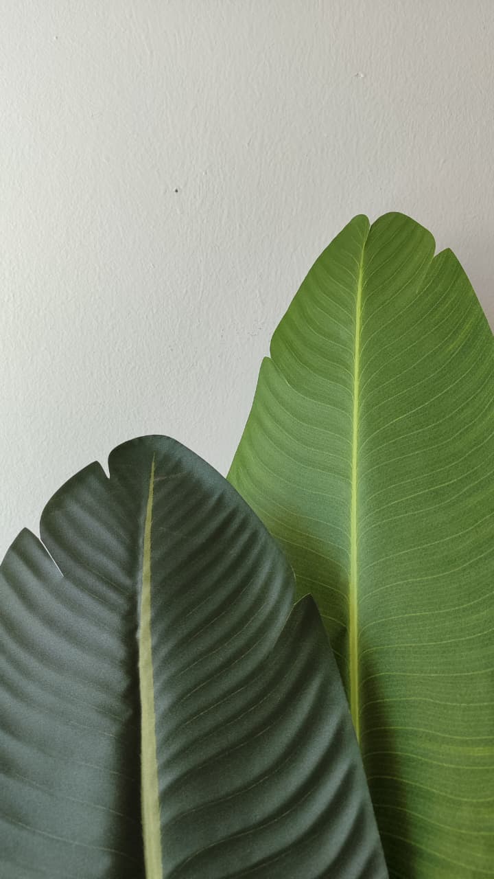 Strelitzia grande artificial