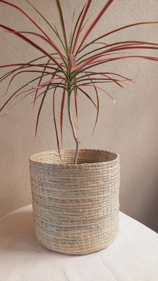 Porta maceta mediano