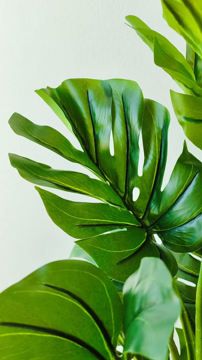 Monstera grande artificial