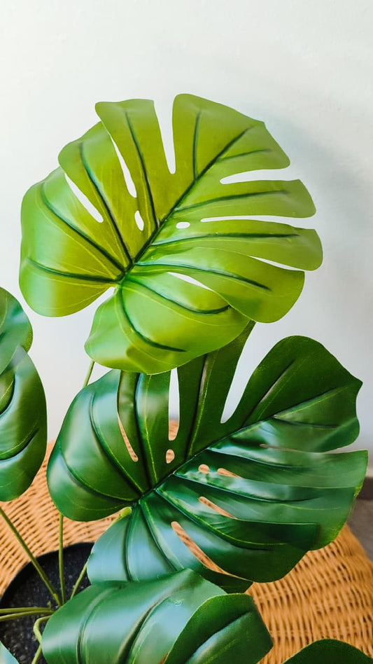Monstera artificial