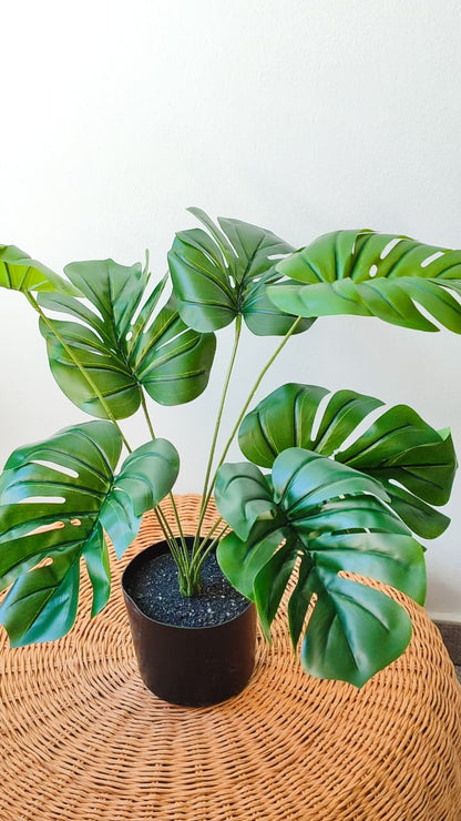 Monstera artificial