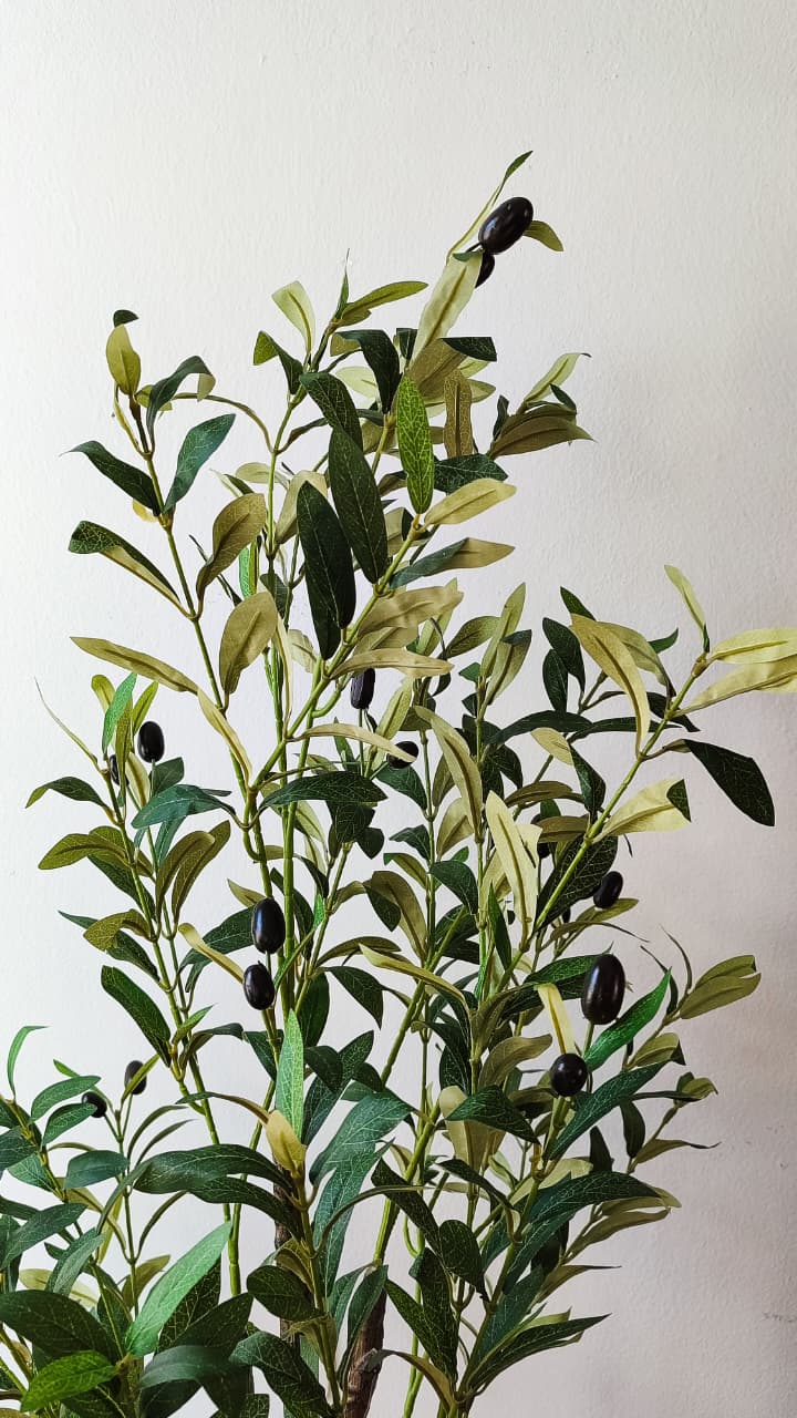 Olivo artificial