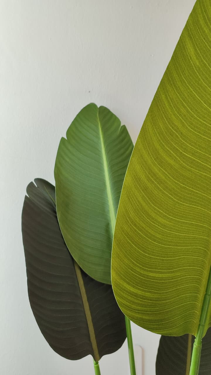 Strelitzia grande artificial