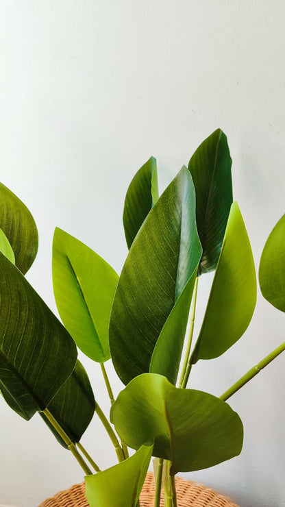 Strelitzia artificial